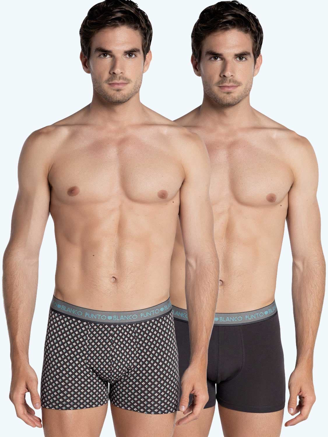 2p Boxer Briefs - Subtle (cottonmodal)