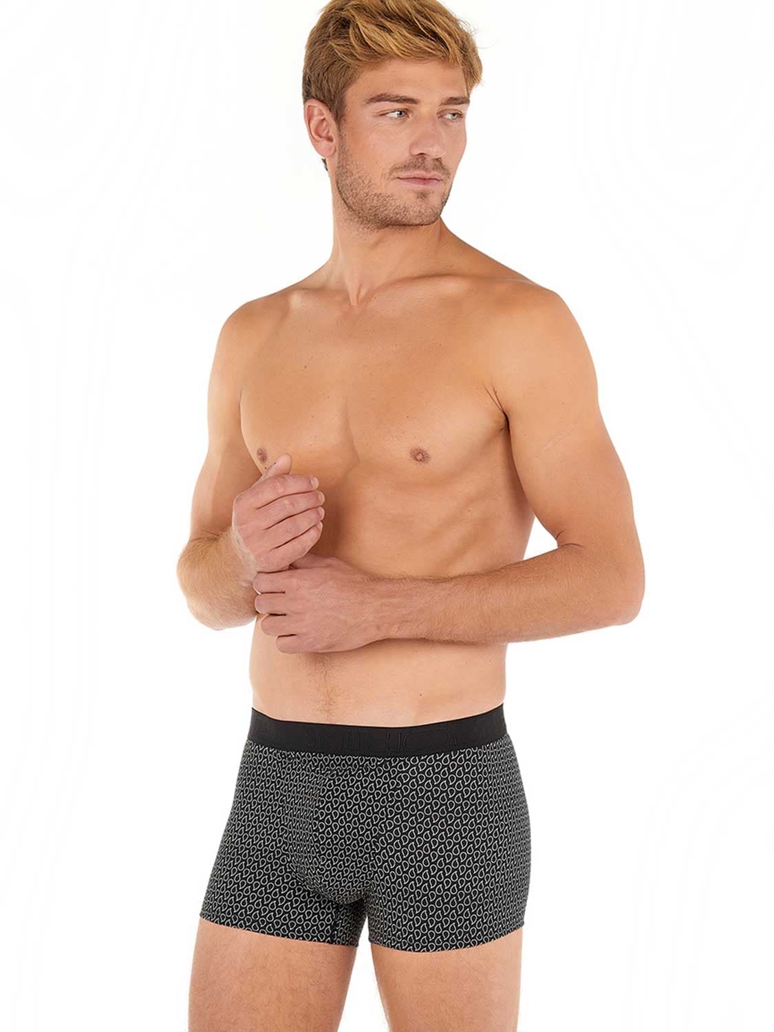 Boxer Briefs HO1 - Akita