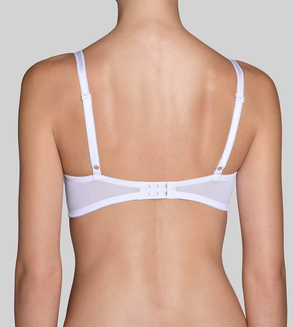 Amourette Spotlight WP (voorgevormd)