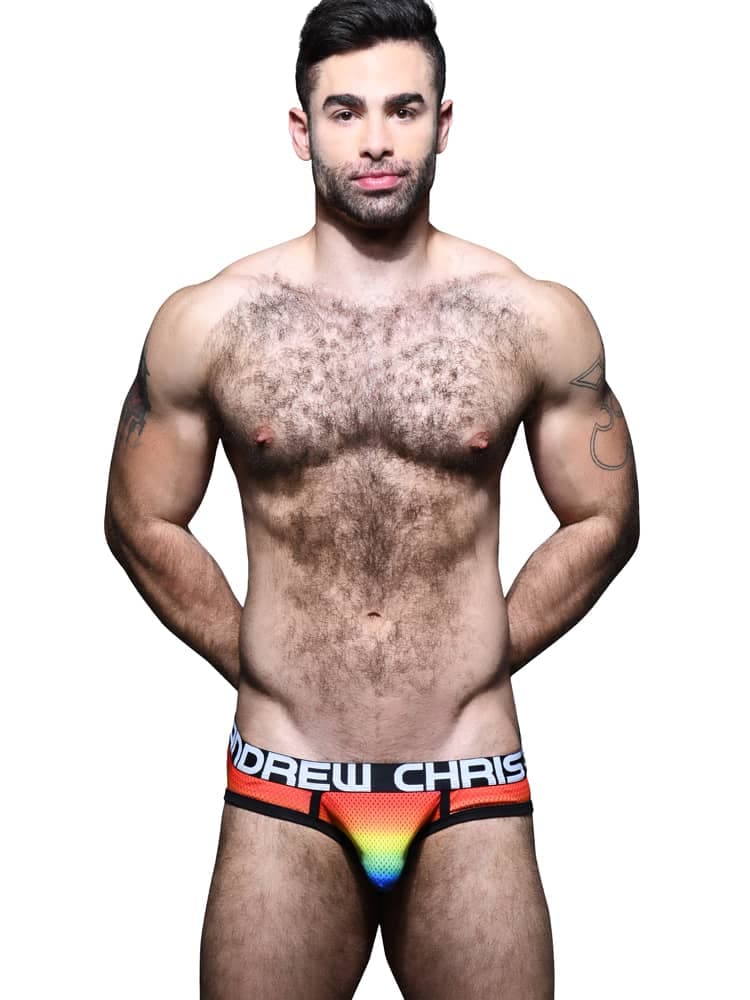 Brief - Pride Mesh