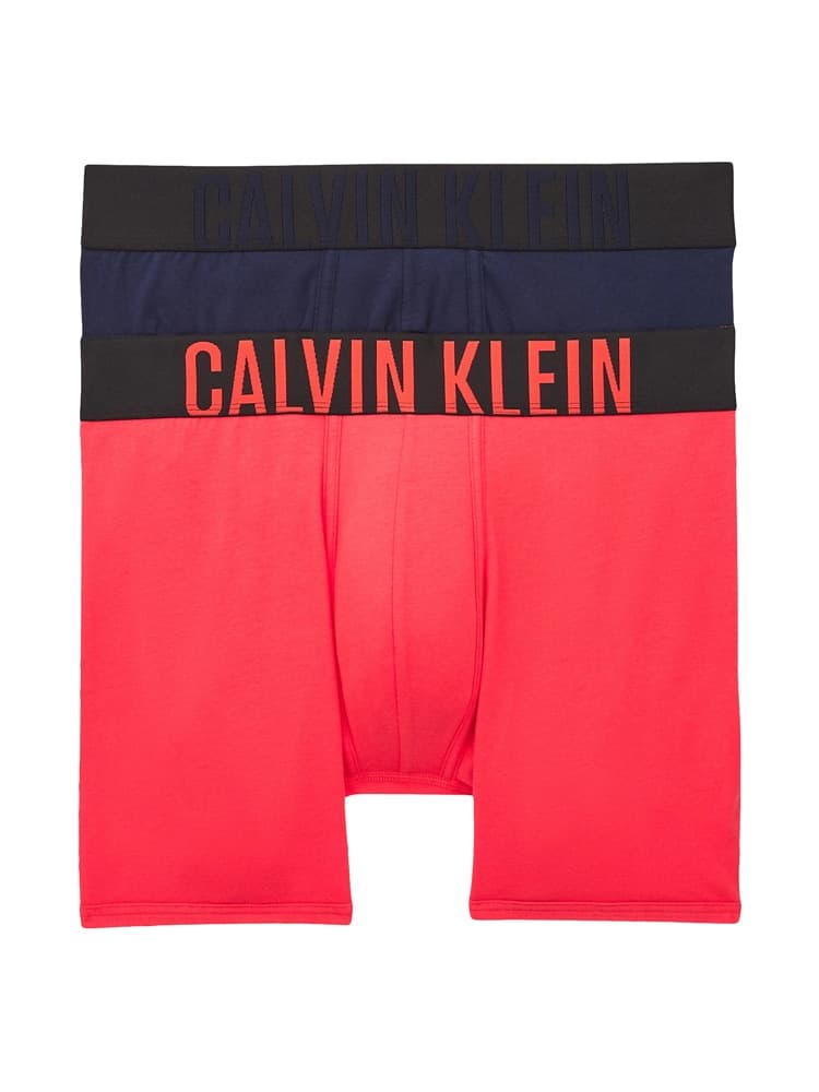 2p Boxer Briefs - Intense Power C.