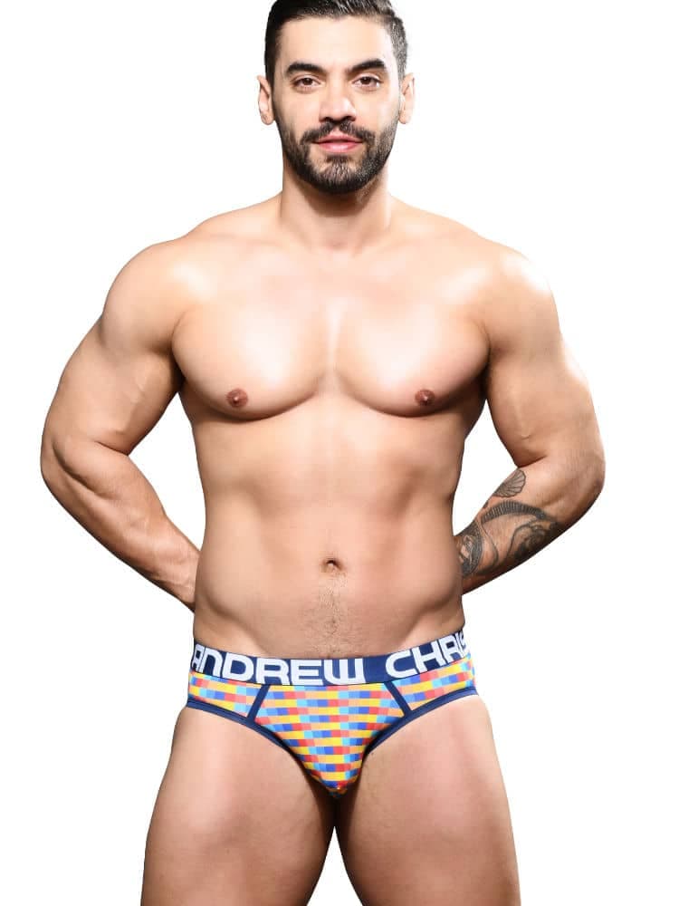 Del Sol Brief